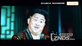 健忘村西瓜在线观看,穿越奇幻之旅，重温记忆中的美好