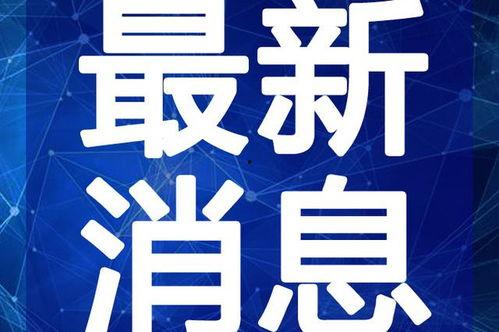 丫环最新爆料新闻视频在线观看,揭秘最新新闻视频背后的真相