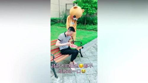吃瓜小熊网红是谁,网络红人的崛起之路
